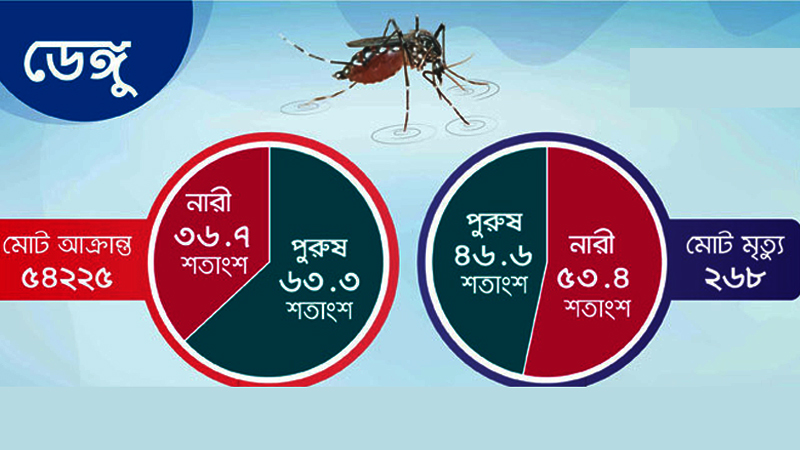 ডেঙ্গু ভাইরাসে পুরুষ আক্রান্ত বেশি, মৃত্যু বেশি নারীর