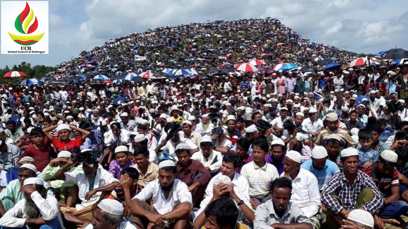‘রোহিঙ্গাদের ‘বাঙালি’ পরিচয় দিয়ে মিয়ানমার ইতিহাস বিকৃতির চেষ্টা করছে’