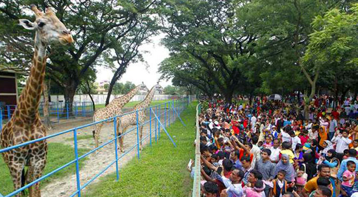 চিড়িয়াখানায় মানষের উপচে ভিড়, হারিয়ে গেল ৪০ শিশু!