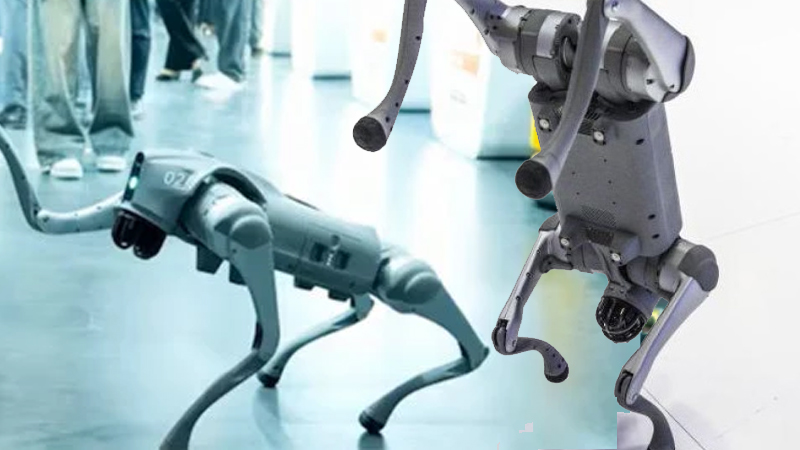 চীনা রোবটকে নিজেদের উদ্ভাবন দাবি, ভারতীয় বিশ্ববিদ্যালয়কে স্টল ছাড়ার নির্দেশ 