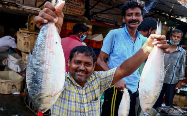 ভারতের বাজারে বাংলাদেশি ইলিশে সয়লাব