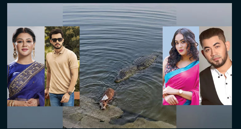 বাগেরহাটে মাজারে কুমিরের মুখে কুকুর, তারকাদের তীব্র ক্ষোভ